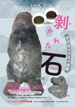 168-s-1.jpg